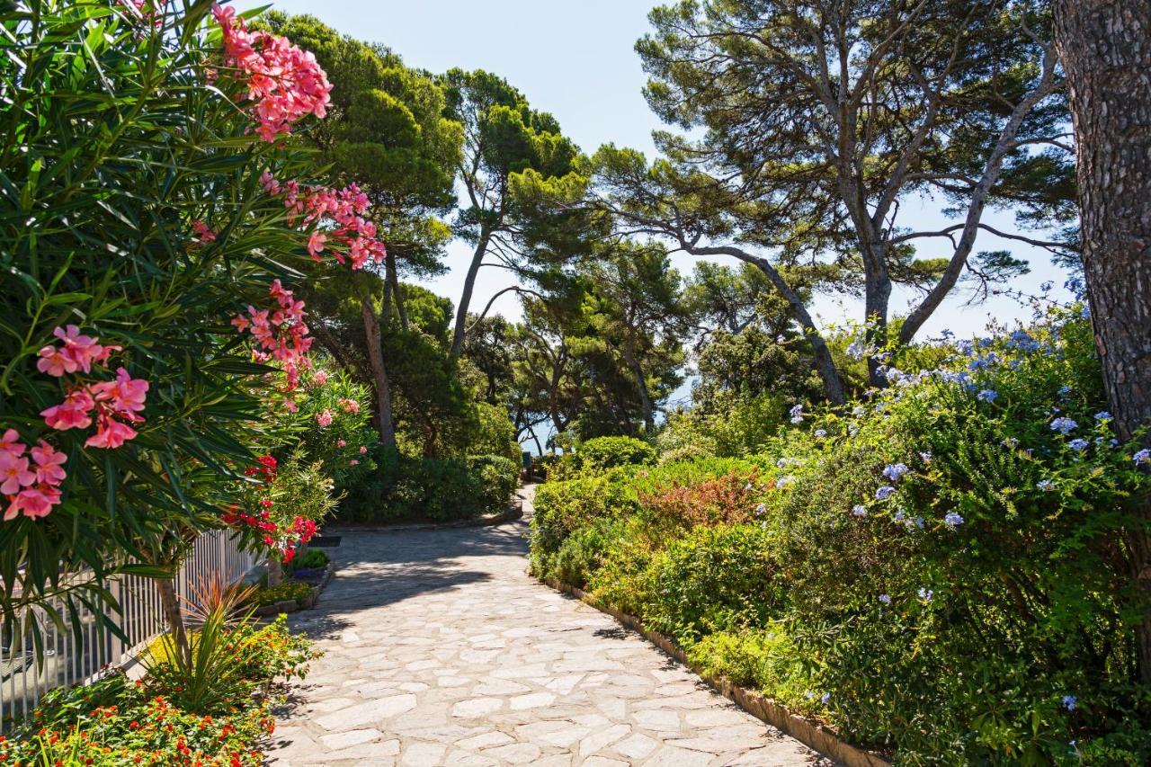 Parc Et Residence Le Provencal Єр Екстер'єр фото